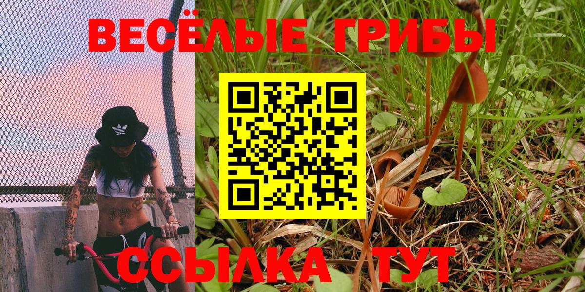 Псилоцибиновые грибы Psilocybe  Вход с VPN  Галлюциногенные грибы мухоморы  Кулебаки 
